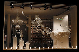 Оформление витрин